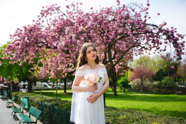 Noiva posando perto de sakura em Paris. casamento — Fotografia de Stock
