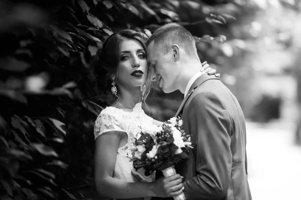 Elegancka panna młoda i pan młody pozują razem na świeżym powietrzu w dniu ślubu — Zdjęcie stockowe