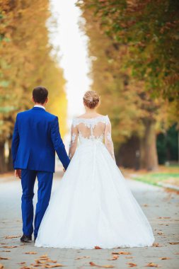 Pahalı elbiseli güzel bir gelin ormanda yürüyor, el ele tutuşuyor. Düğün portresi. Fotoğraf, konsept.