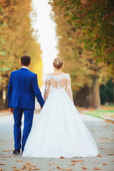 Schöne Braut in einem teuren Kleid in den Wäldern in der Natur spazieren, Händchen haltend. Hochzeitsporträt. Fotografie, Konzept. — Stockfoto