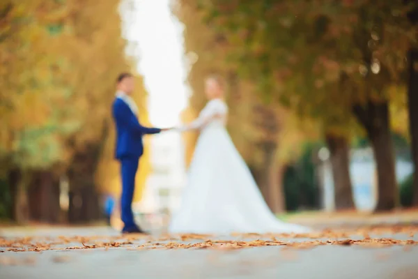 Magnifique marié et mariée dans la forêt d'été — Photo