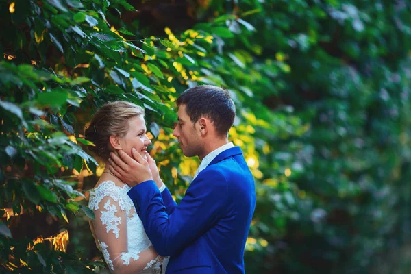 Wonderful groom and bride in summer forest — Stock Photo, Image