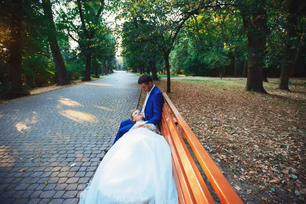 Bruid en bruidegom bruiloft. Pasgetrouwden in het park. — Stockfoto