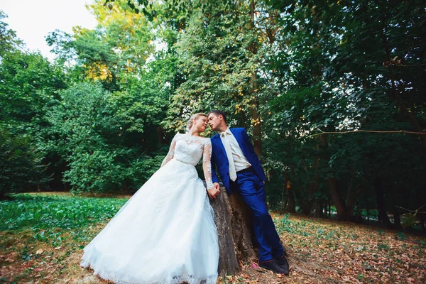 Bella sposa in un abito costoso passeggiando nei boschi nella natura, tenendosi per mano. Ritratto di matrimonio. Fotografia, concetto . — Foto Stock