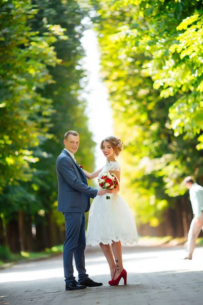 Весілля. Молода пара, нещодавно одружена, тримається за руки — стокове фото