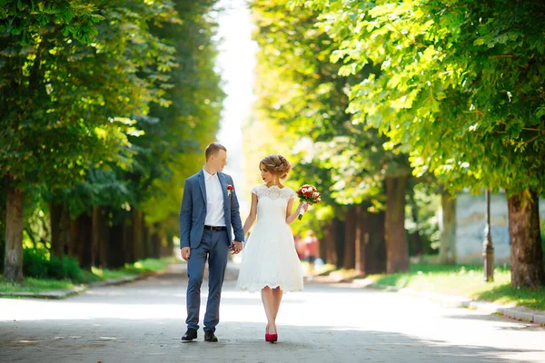 Fabulous young wedding couple posing in the park on the sunny day. — Stock Photo, Image