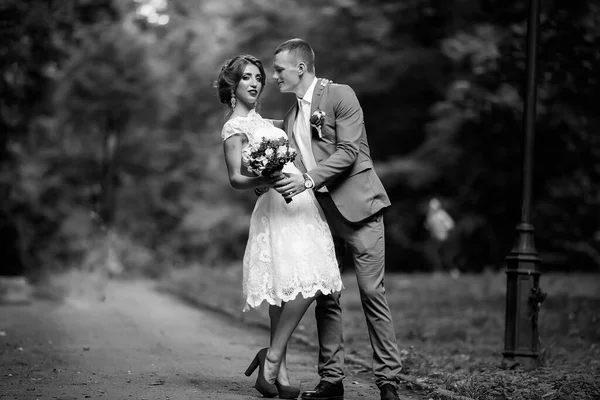 Hochzeit. Junges Paar, frisch verheiratet, Händchen haltend — Stockfoto