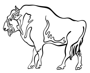 Ink drawing of norhtern forest Bison or Aurochs, black and white, isolated, for custom print and design