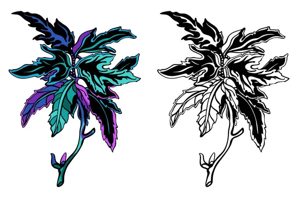 Stilisierte Tuschezeichnung einer Brennnesselpflanze mit Blättern, Colofrul und Schwarz-Weiß, isoliert, für individuelle Druck- und Logogestaltung. — Stockvektor