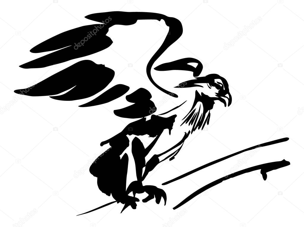 Vector ink drawing of eagle or hawk bird with spreaded wings, black and white, isolated, for custom print and logo design