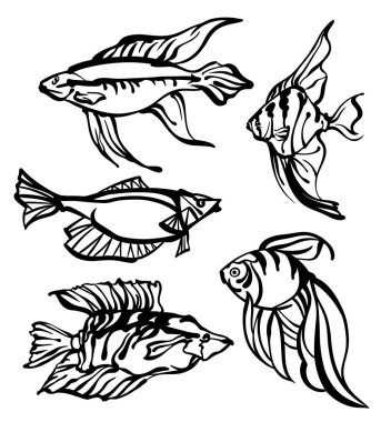 Collection of stylized ink drawings of ocean fiishes, black and white, isolated, for custom print and logo design