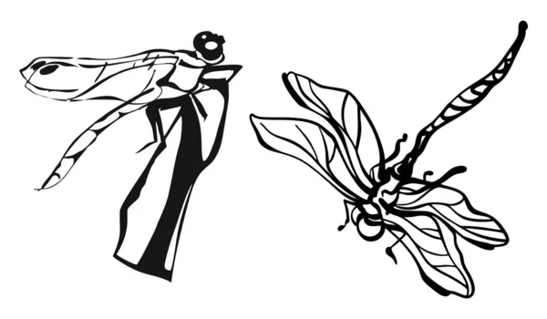 Stilisierte Tuschezeichnung von Libelleninsekten, schwarz und weiß, isoliert, für individuellen Druck und Logo-Design — Stockvektor