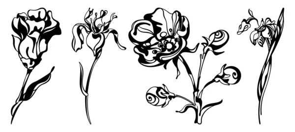 Kollektion von linearen stilisierten Blumen, Lilien, Mohn, Schwarz und Weiß und isoliert, für individuellen Druck und Design. — Stockvektor