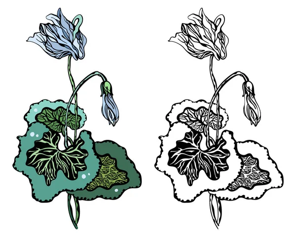 Stilizált tinta rajz amaryllis waater liliom növény levelek és virágok. Színes és fekete-fehér, elszigetelt, egyedi nyomtatáshoz és logó tervezéshez. — Stock Vector