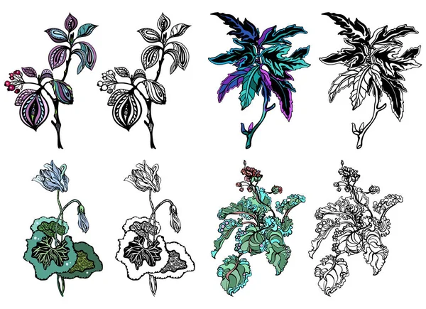 Collection de dessins stylisés de rhubarbe, ortie, nénuphar, plantes, feuilles. Coloré et noir et blanc, isolé, pour l'impression personnalisée et la conception de logo. — Image vectorielle