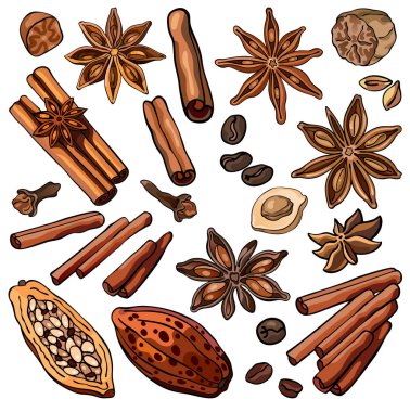 Collection of cspices and beans: cinnamon, cloves, allspice, cocoa beans, hazelnuts, coffee, anise, colorful illustrations, isolated, for custom design and print