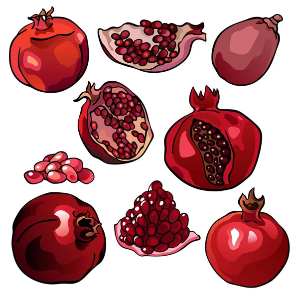 Coleção de romãs, ilustrações coloridas de frutas, vermelho e cor granada, isolado, para design personalizado e impressão — Vetor de Stock