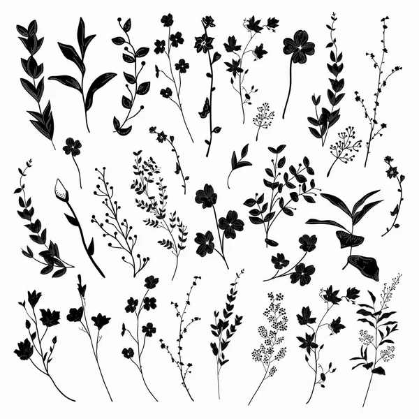 Hierbas, plantas y flores dibujadas en negro. Ilustración vectorial — Archivo Imágenes Vectoriales