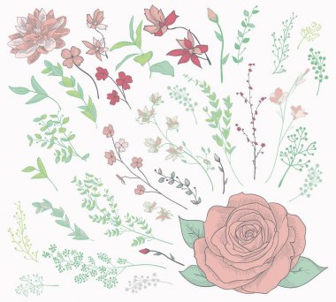 Colorful Drawn Herbs, Plants and Flowers. Vector Illustration clipart