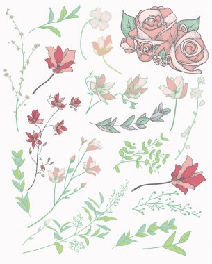 Renkli çizilmiş otlar, bitkiler ve çiçekler. Vektör çizim