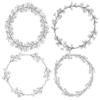Doodle çelenk dalları, otlar, bitkiler ve çiçekler
