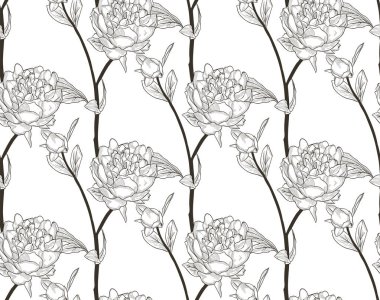 Vektör siyah Seamless modeli ile çizilmiş çiçekler, Şakayık