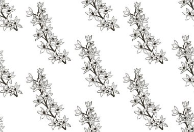 Vektör siyah Seamless Modeli çizilmiş çiçekli