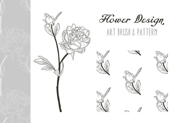 Peony Flower Design. Pincel e padrão de arte. Vetor —  Vetores de Stock