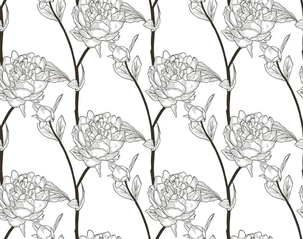 Modèle sans couture vectoriel noir avec fleurs dessinées, pivoine — Image vectorielle