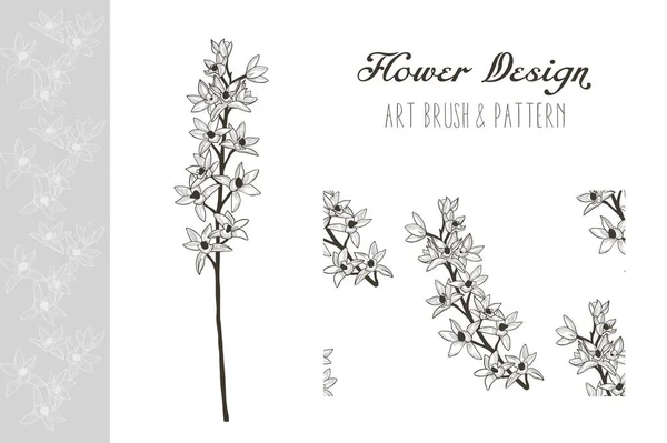 Flower Design. Art Brush and Pattern. Vector — Stock Vector