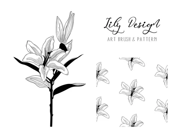 Lily Flower Design. Cepillo y patrón de arte. Vector — Archivo Imágenes Vectoriales