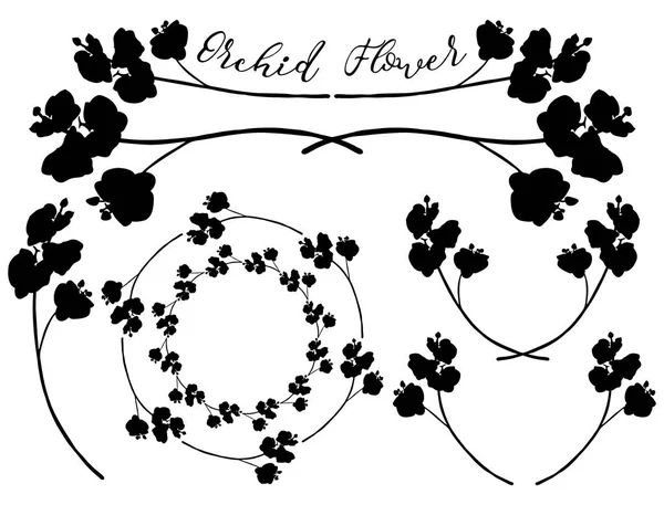 Vector orquídea formas de flores. Divisores, marcos y coronas — Archivo Imágenes Vectoriales