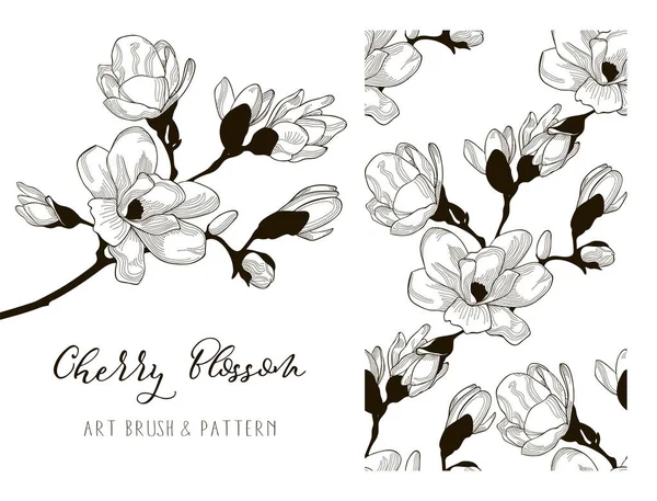 Cherry Blossom Design. Art Brush and Pattern. Vector — Stock Vector