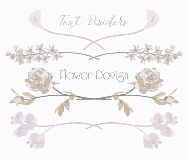 Vector Floral Text Dividers. Elementos de Design de Flor —  Vetores de Stock