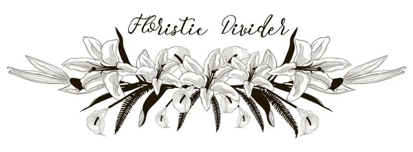 Delicado divisor de texto floral. Lily elemento de diseño de flores — Archivo Imágenes Vectoriales