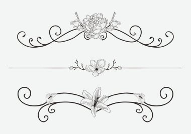 Vektör çiçek ve Swirls ile siyah çiçek bölücüler
