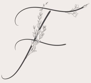 Vektör çiçekli el çizilmiş F monogram ve logosu