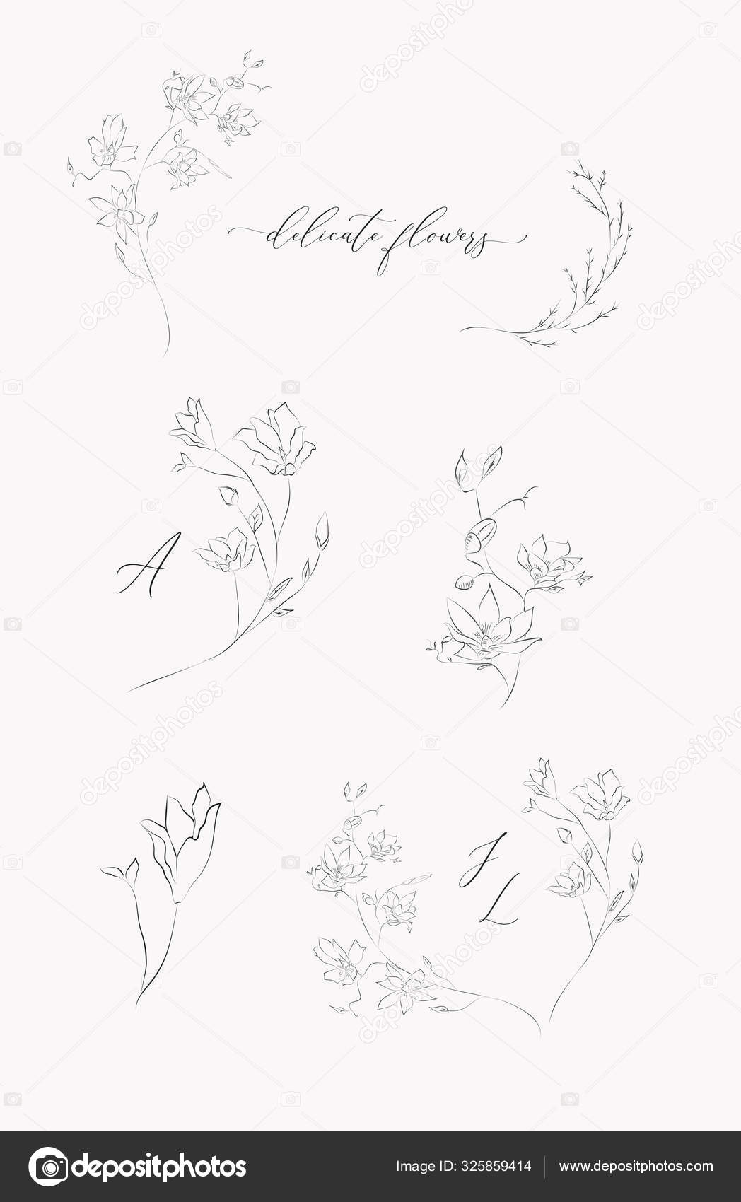 線画ベクトル花冠のコレクション ストックベクター C Oliafedorovsky