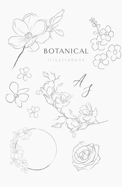 Linha desenho vetor coroas florais armações ramos —  Vetores de Stock