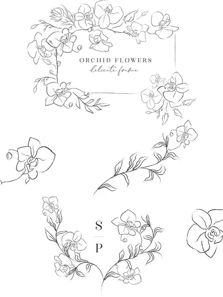 Desenho de linha vetorial orquídea flores grinaldas quadros —  Vetores de Stock