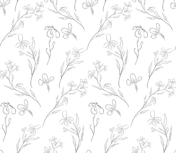 Vector Line Drawing Floral Seamless Pattern — Stock Vector