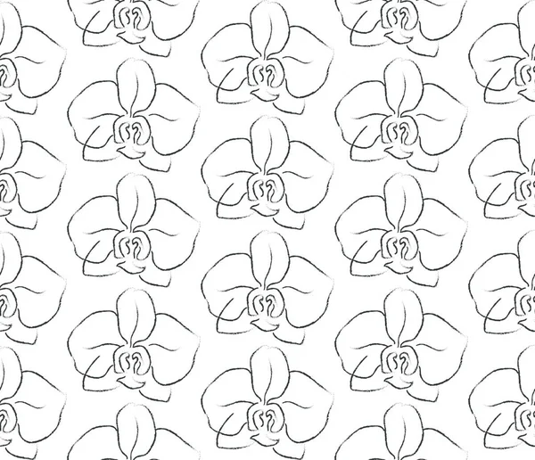 Linha vetorial Desenho Floral Padrão sem costura — Vetor de Stock