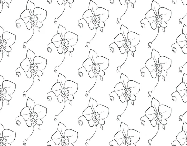 Dessin de ligne vectorielle Floral modèle sans couture — Image vectorielle