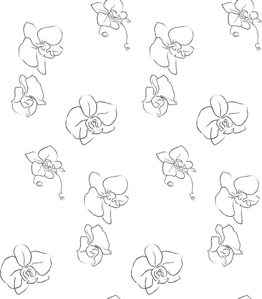 Dibujo de línea vectorial Patrón sin costura floral — Vector de stock