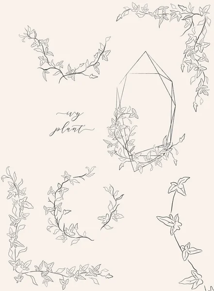 Line drawing vector leaf branch wreaths frames — Stockvektor