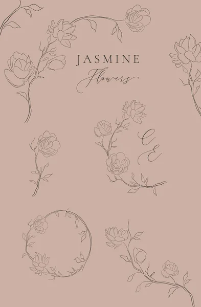 Vector Jasmine Line dibujo marcos florales, coronas — Archivo Imágenes Vectoriales