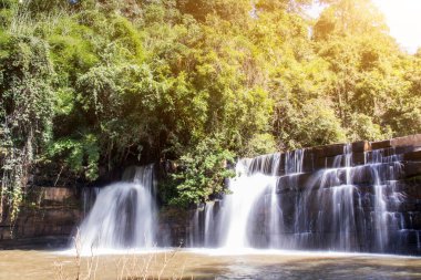 Güzel şelalenin doğası vahşi ormanlardaki tatlı sarı su gölü havuzuna Tayland seyahatleri ve maceralar