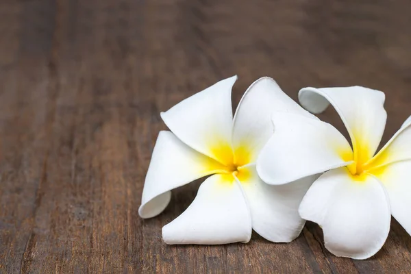 Plumeria Flores Sobre Fondo Madera Flor —  Fotos de Stock