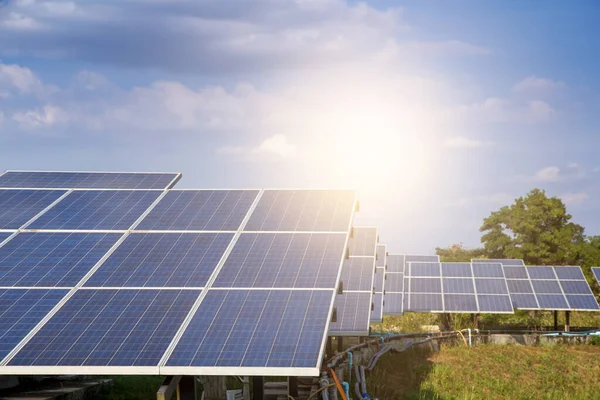 Energia Słoneczna Farmy Dla Energii Elektrycznej Odnawialnej Słońca Fotowoltaika Statystyce — Zdjęcie stockowe