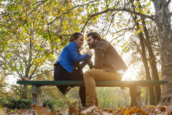 Casal no parque desfrutando de tempo agradável outono . — Fotografia de Stock